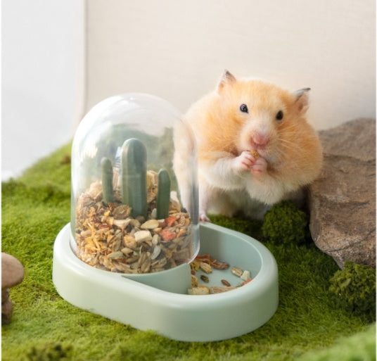 Revolutionize Your Hamster's Feeding Experience with the Creative Cactus Automatic Feeder