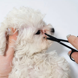 Transform Your Pet's Eyes with Our Pet-friendly Eye Soft Tear Stain Remover