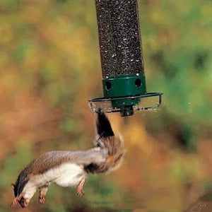 Transform Your Outdoor Space with Our Hummingbird Water Feeder