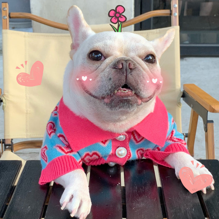 The Ultimate Pet Sweater for Style and Comfort