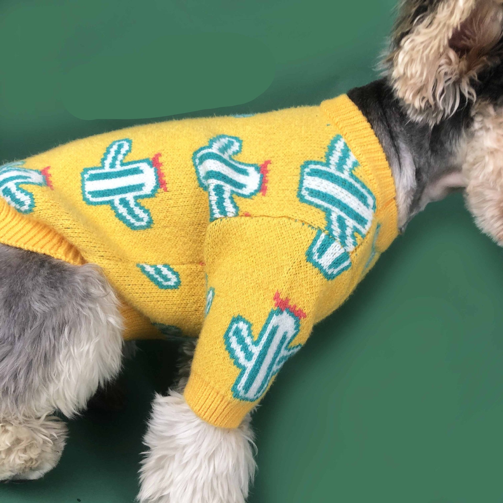 Dress Your Pet in Style: The Adorable Pet Cactus Sweater
