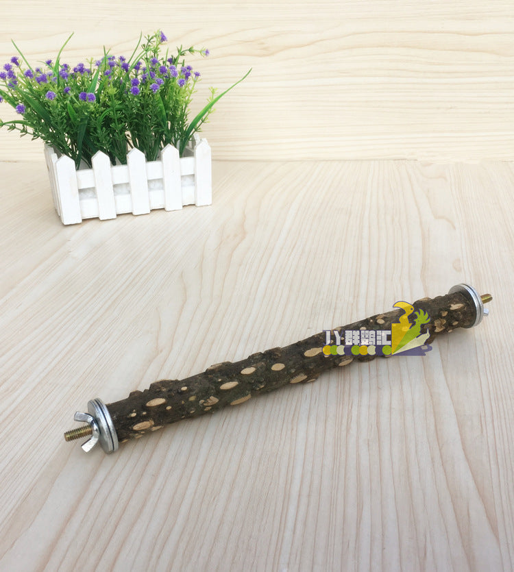 Take-away Cage Parrot Outing Package Travel: Your Ultimate Travel Companion