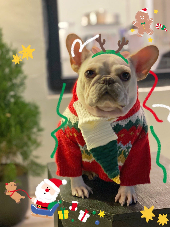 Get Your Pet Ready for the Holidays with Our Christmas Sweater!