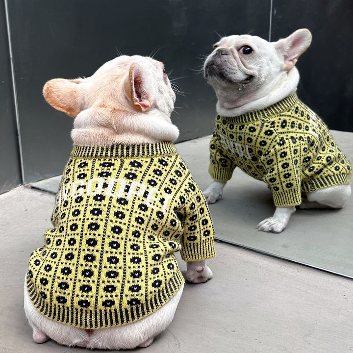 The Ultimate Winter Sweater for Your Furry Friends