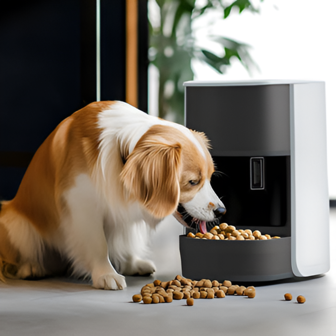 Making Mealtime Easier and Healthier for Pets