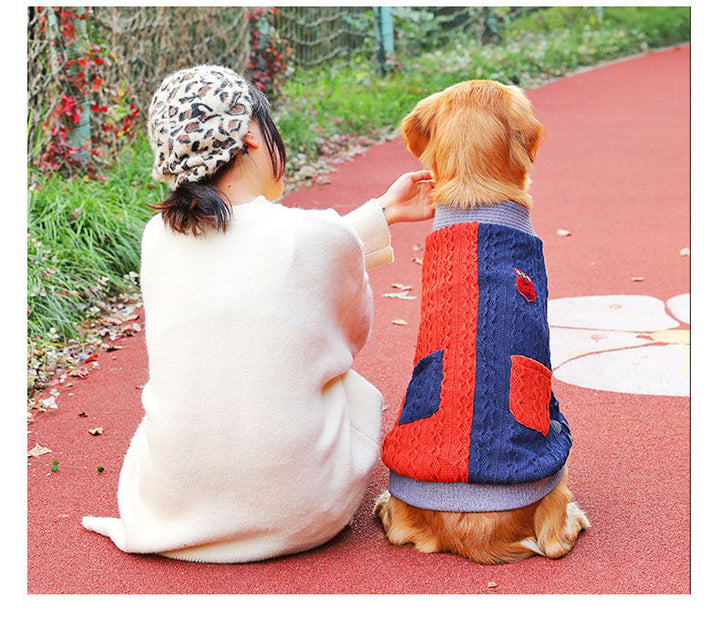 Why Your Dog Deserves the Best Winter Sweater