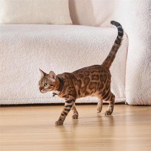 Engage Your Cat with the Ultimate Pet Cat Toy Laser Collar
