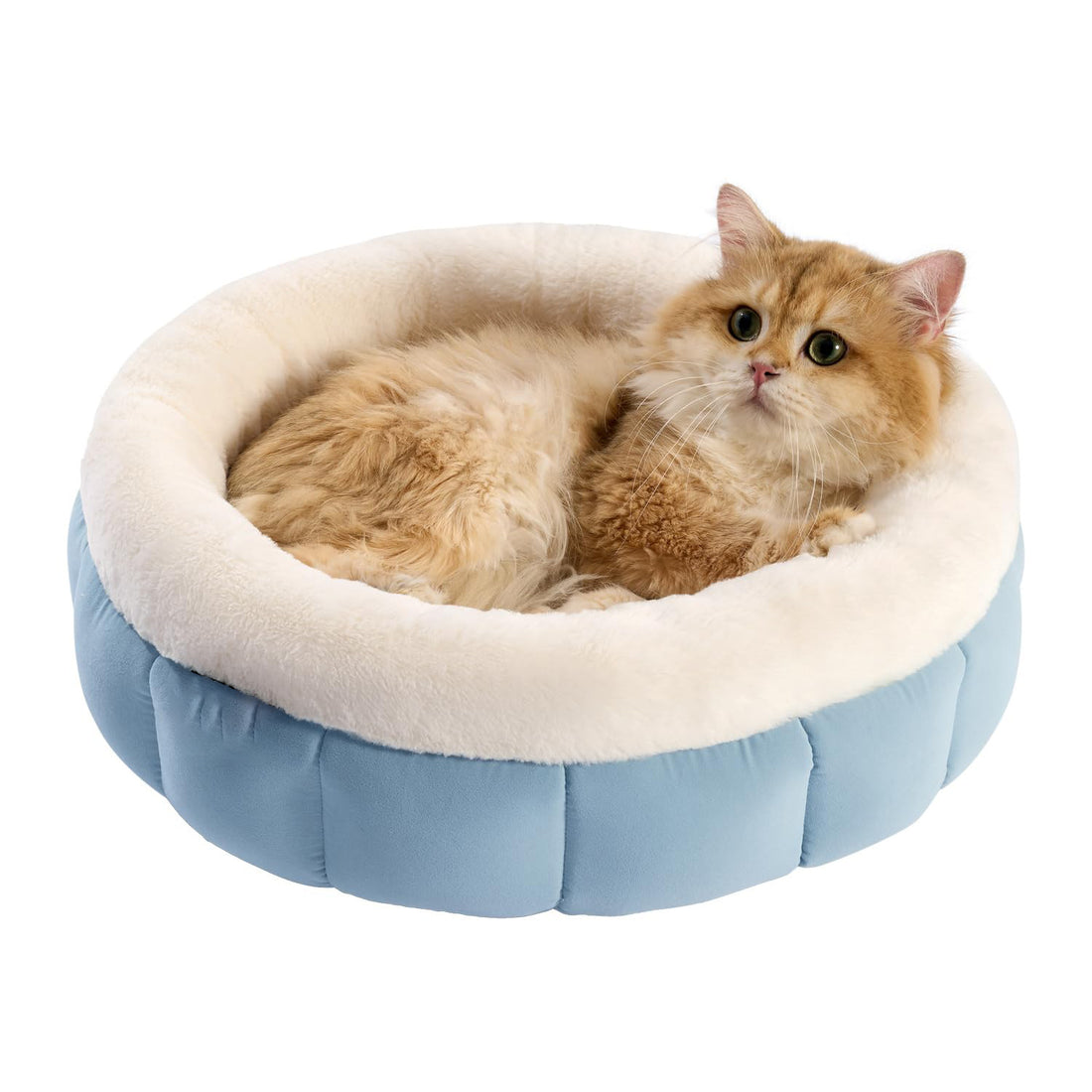 Donut Pet Round Bed