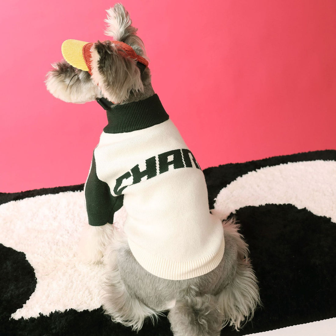 Puppy Sweater Cardigan Men's Pet Clothing