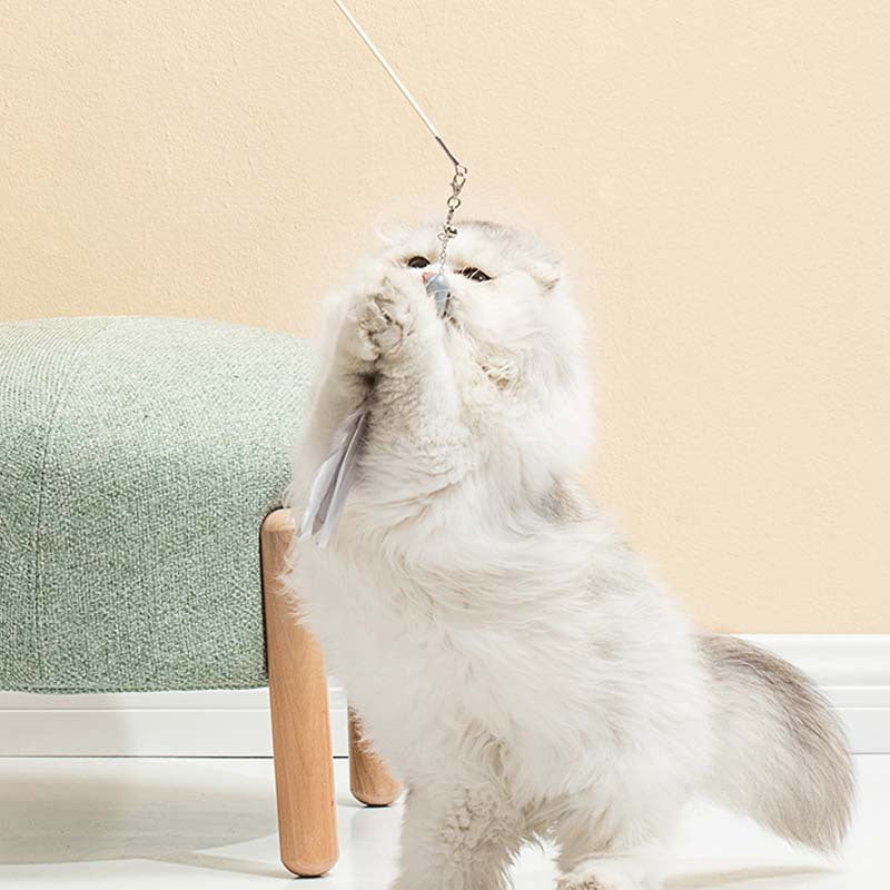 Cat Laser Set Feather Funny Stick Toy