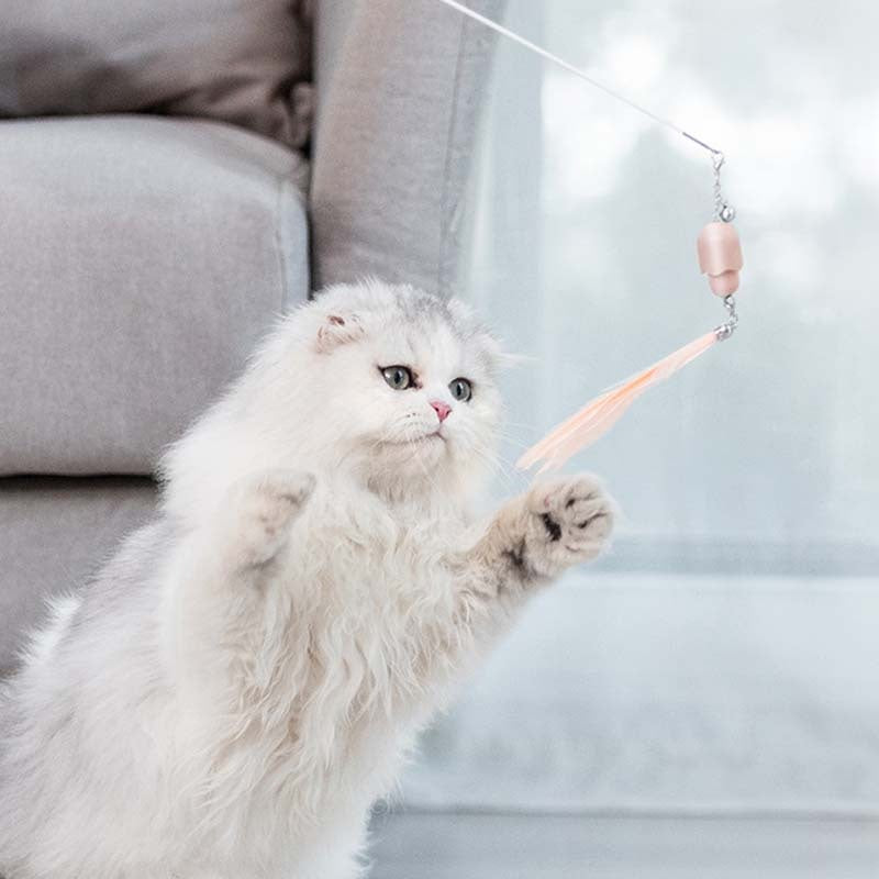 Cat Laser Set Feather Funny Stick Toy