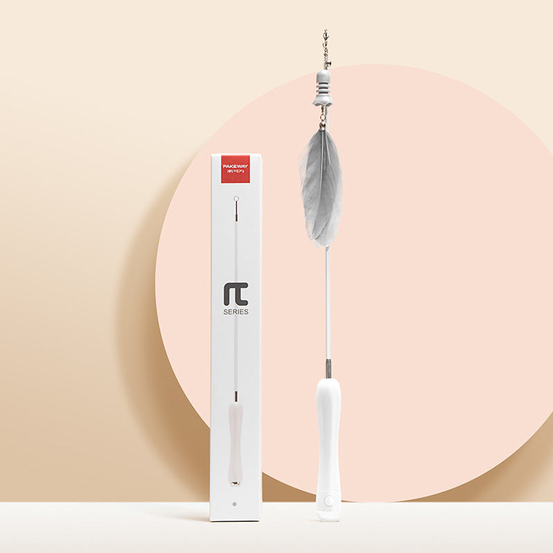 Cat Laser Set Feather Funny Stick Toy