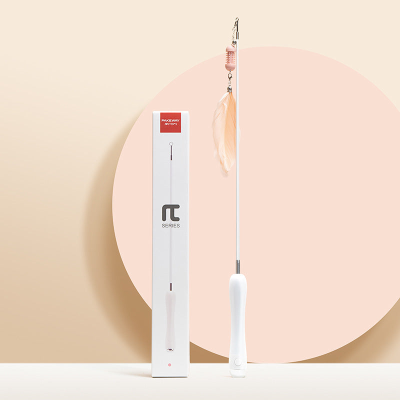 Cat Laser Set Feather Funny Stick Toy