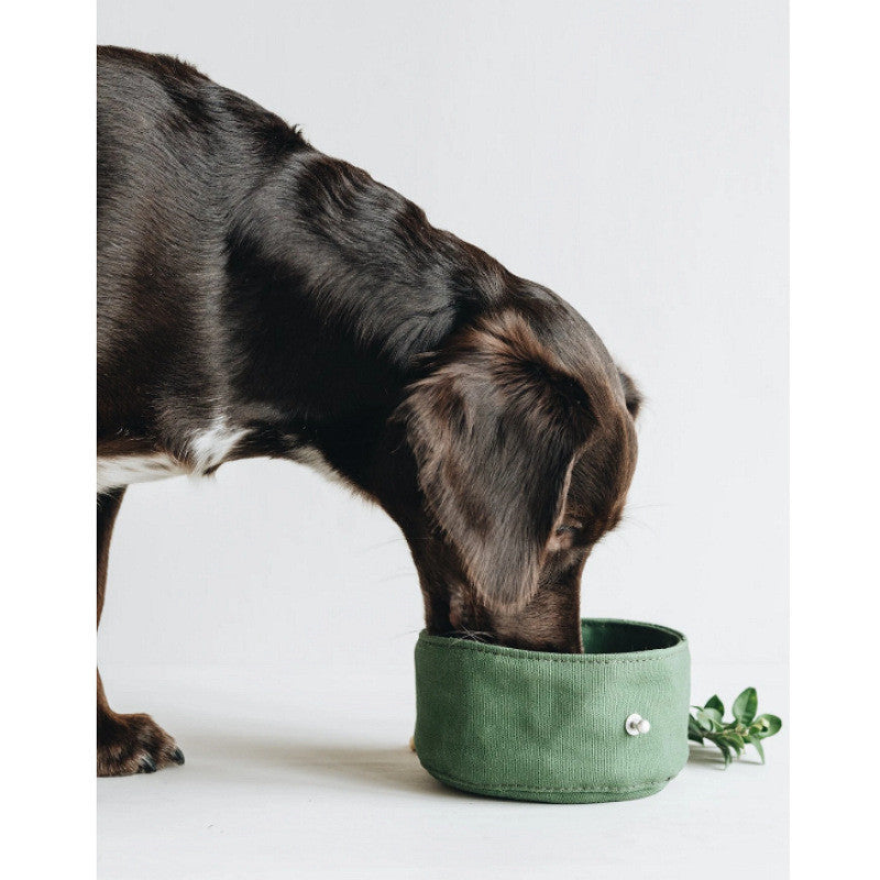 Folding Dog Bowl Canvas
