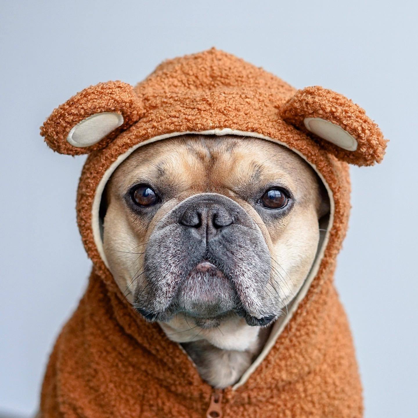 Pet Brand Fleece-lined Warm Ear-standing Sweater