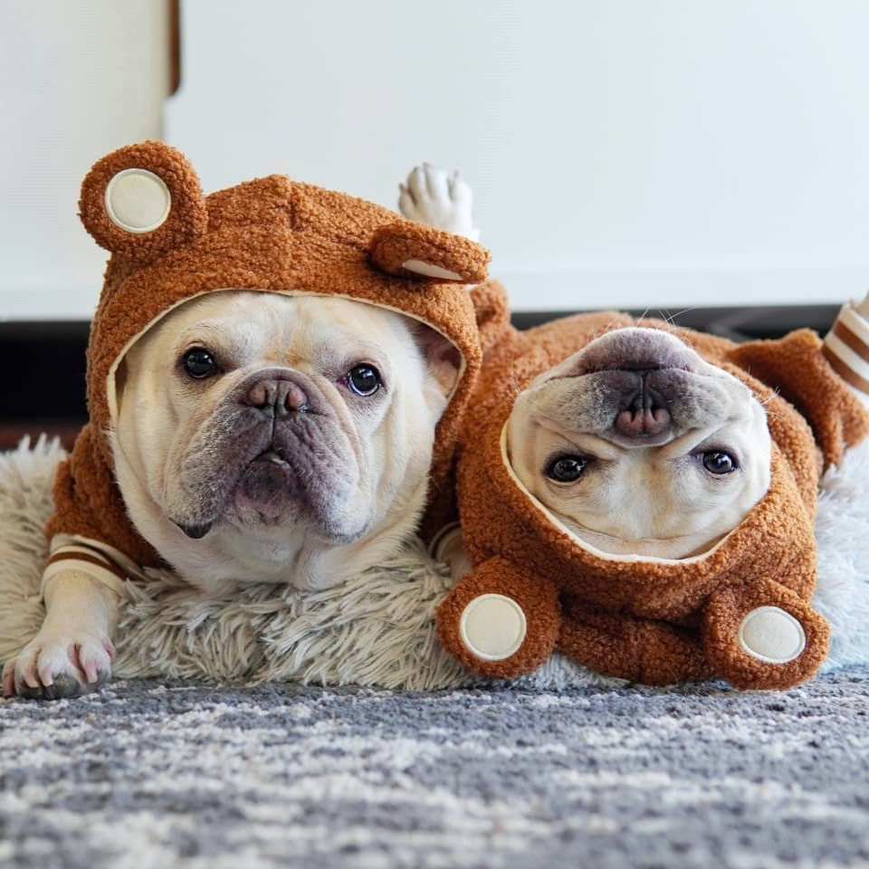 Pet Brand Fleece-lined Warm Ear-standing Sweater