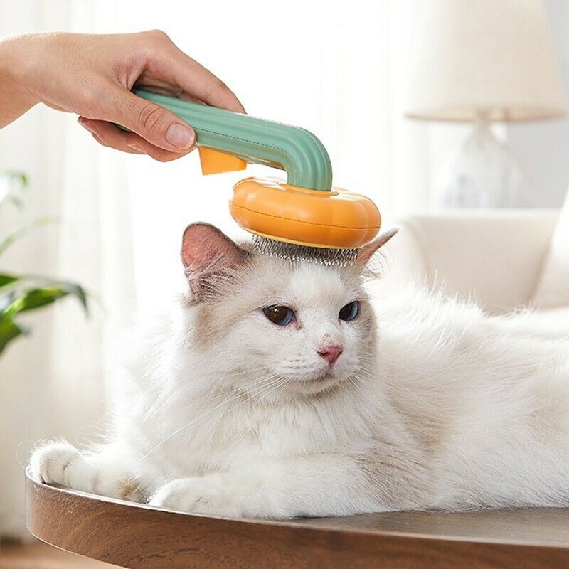 Pet Pumpkin Brush Cleaning Slicker Brush
