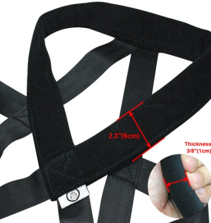 Pet Training Supplies Leashes