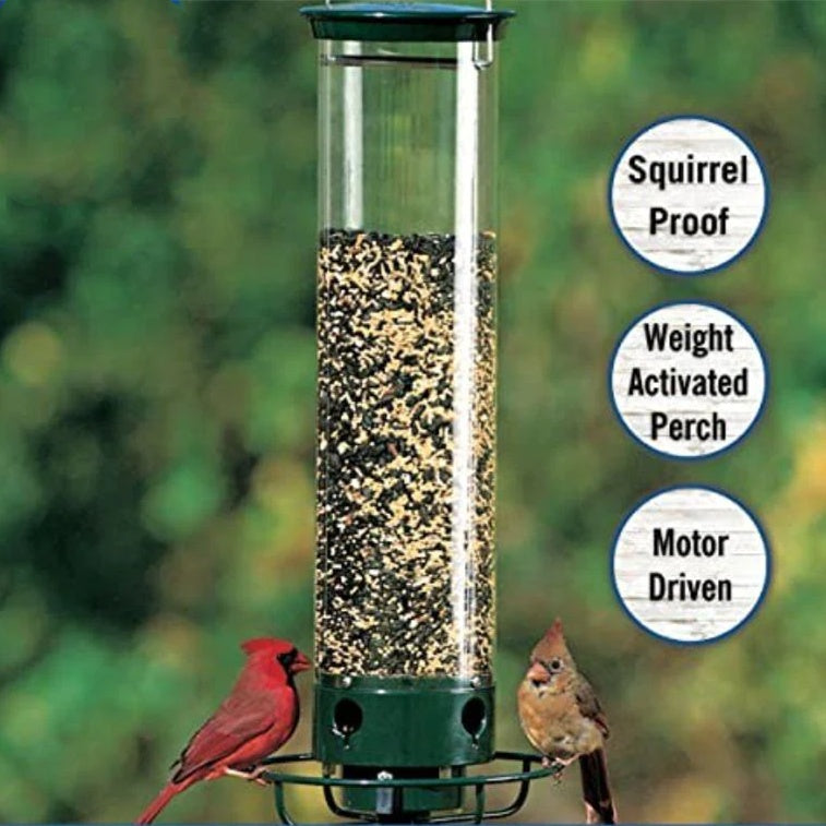 Outdoor Hanging Hummingbird Water Feeder