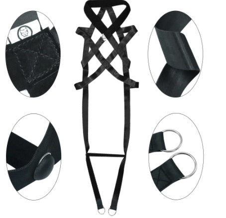 Pet Training Supplies Leashes