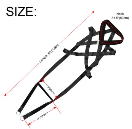 Pet Training Supplies Leashes