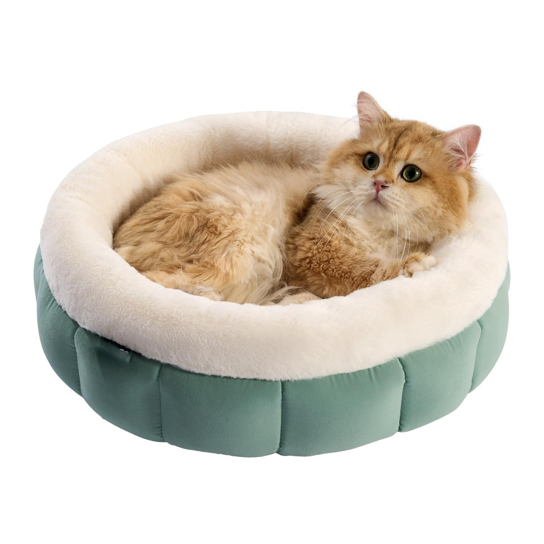 Donut Pet Round Bed