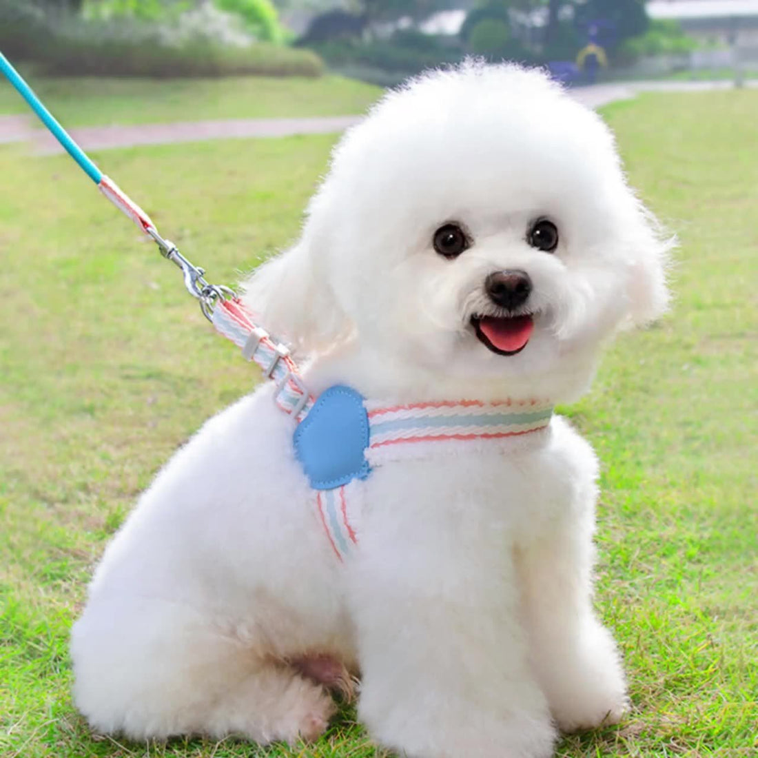 Summer Breathable Walking Dog Leash