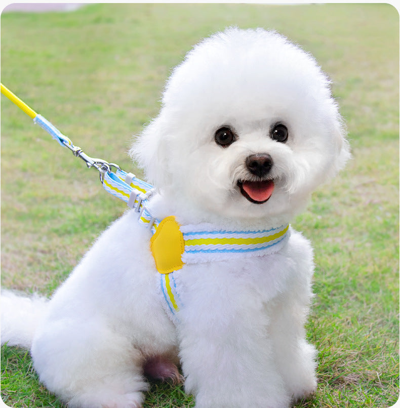 Summer Breathable Walking Dog Leash