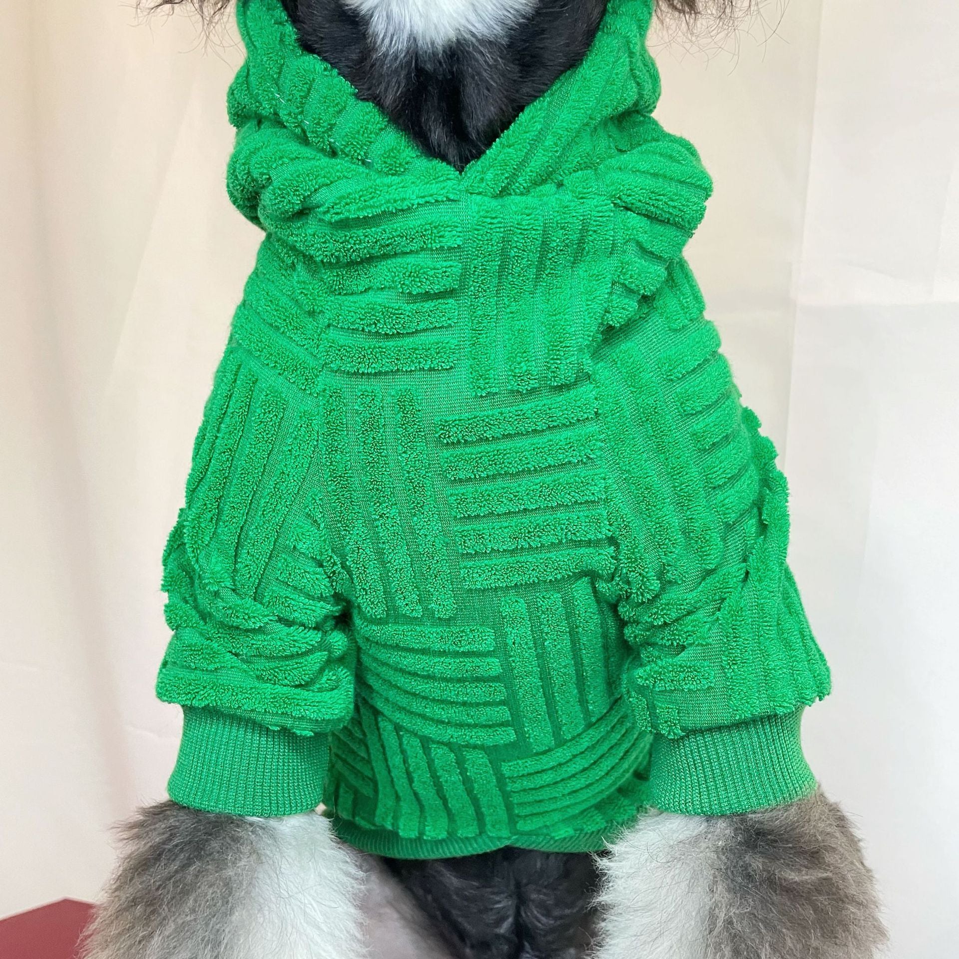 Pet Clothes Green Terry Sweater Hoddiee