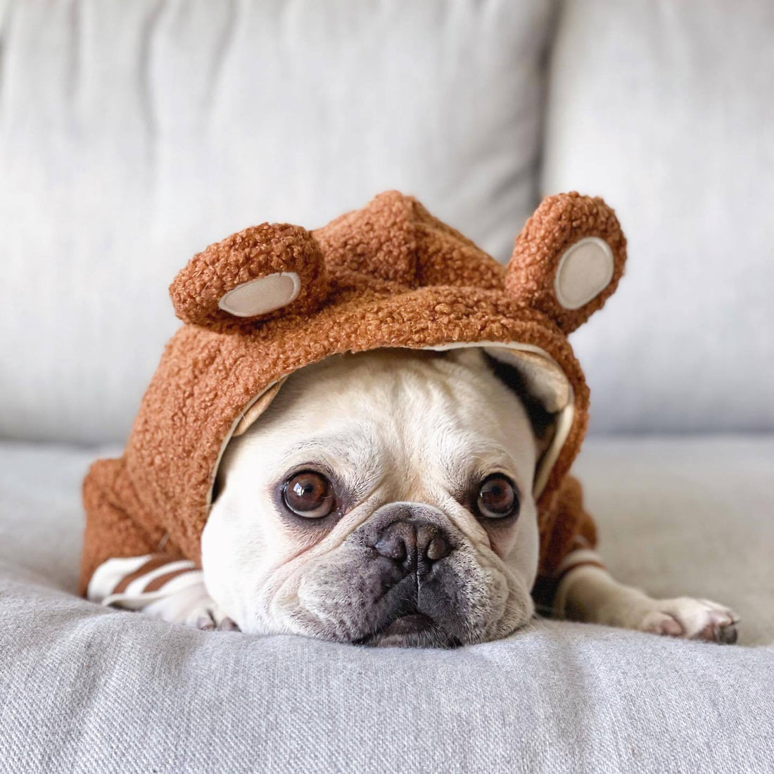 Pet Brand Fleece-lined Warm Ear-standing Sweater