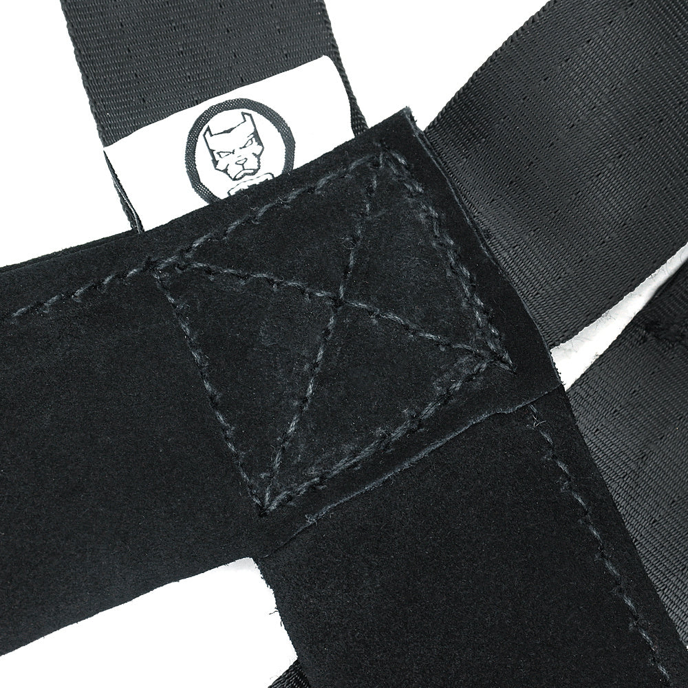 Pet Training Supplies Leashes