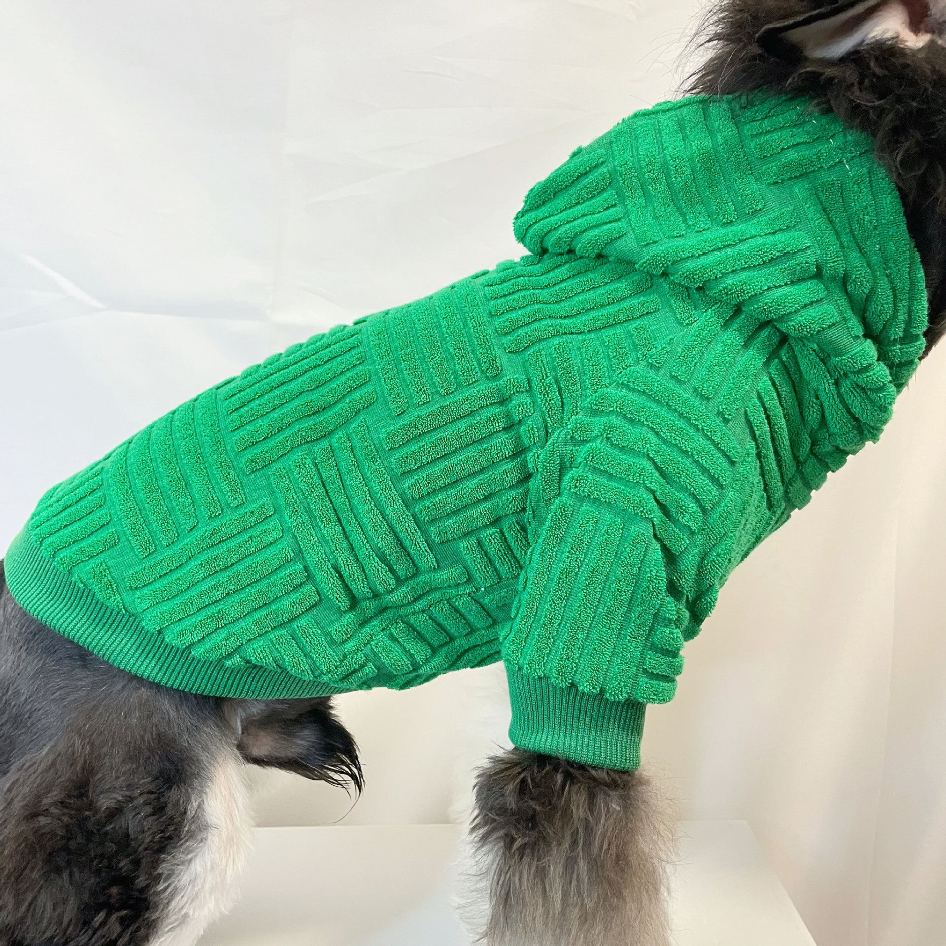 Pet Clothes Green Terry Sweater Hoddiee