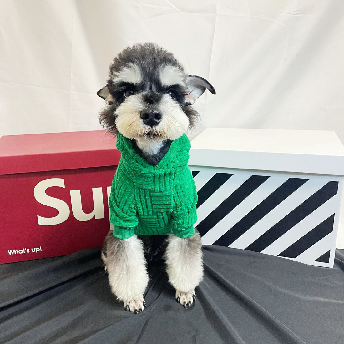 Pet Clothes Green Terry Sweater Hoddiee