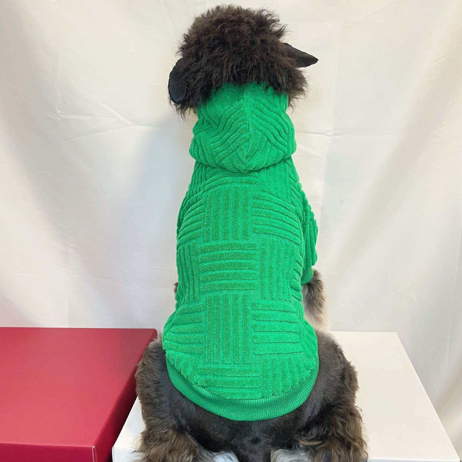 Pet Clothes Green Terry Sweater Hoddiee