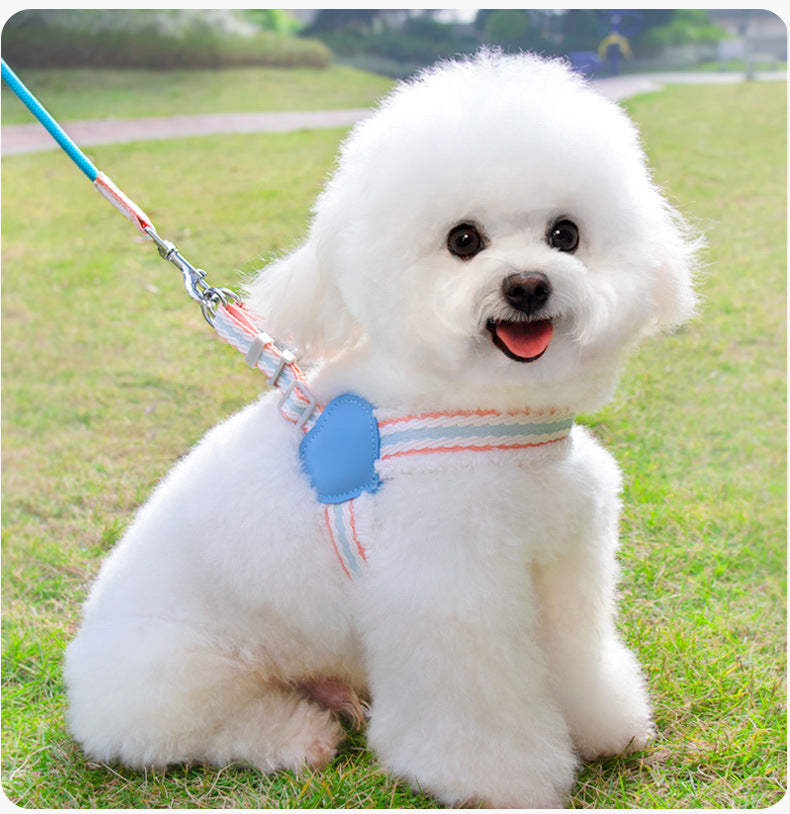 Summer Breathable Walking Dog Leash