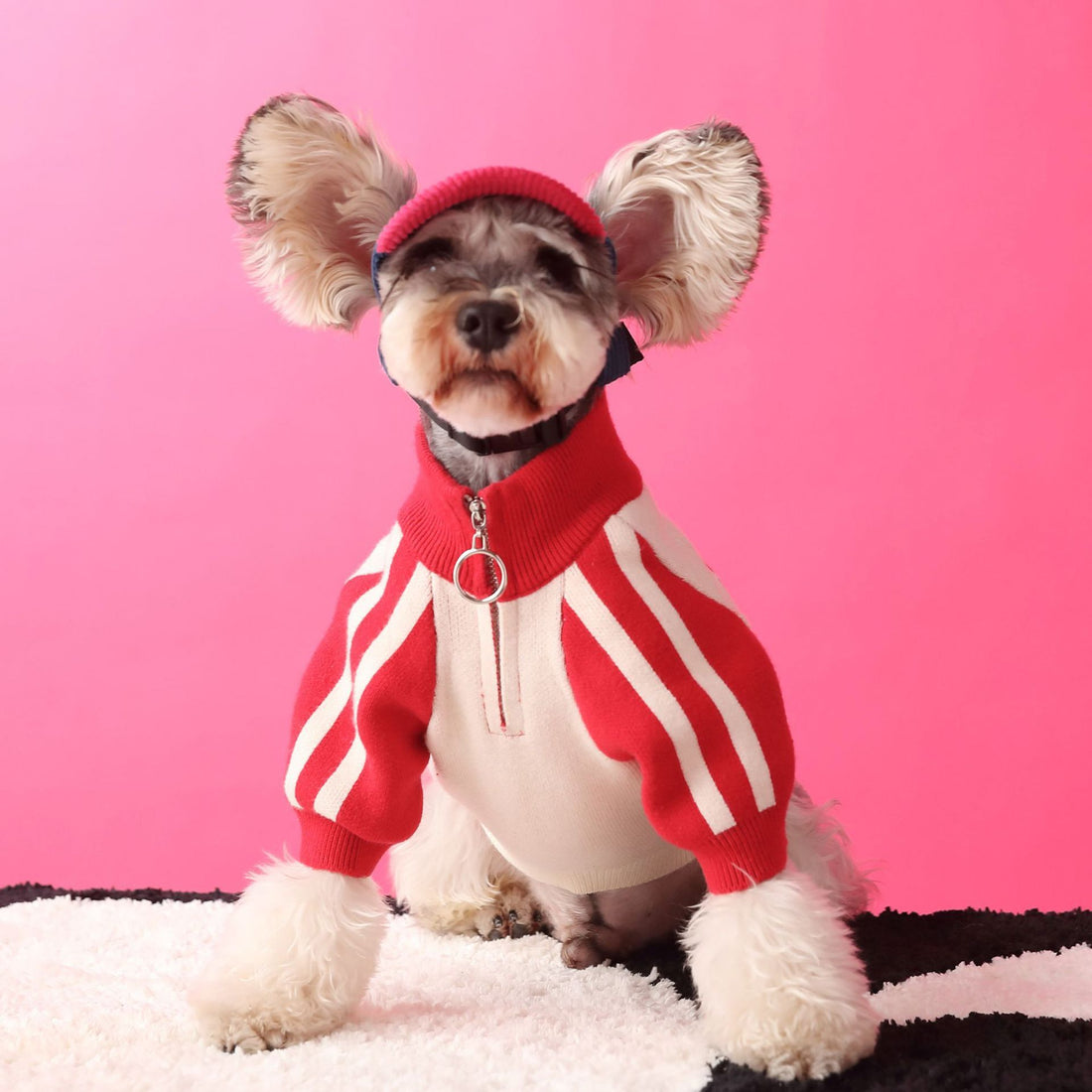 Puppy Sweater Cardigan Men's Pet Clothing