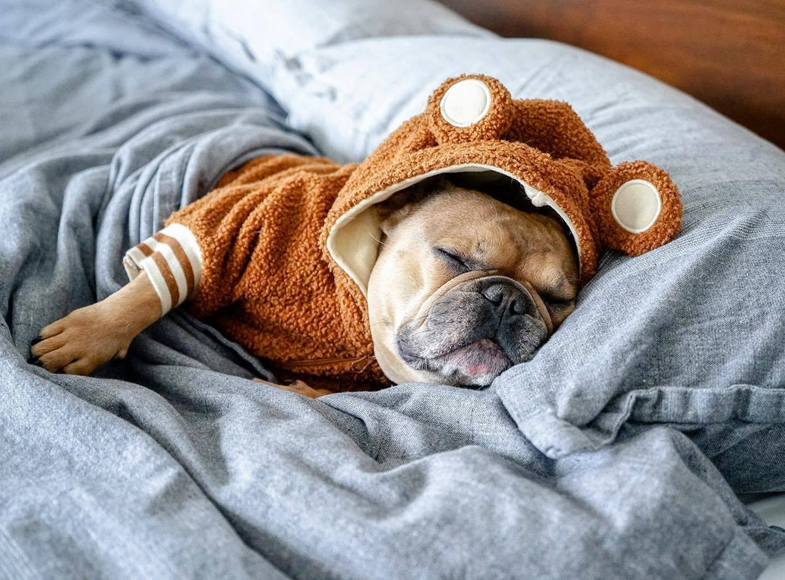 Pet Brand Fleece-lined Warm Ear-standing Sweater