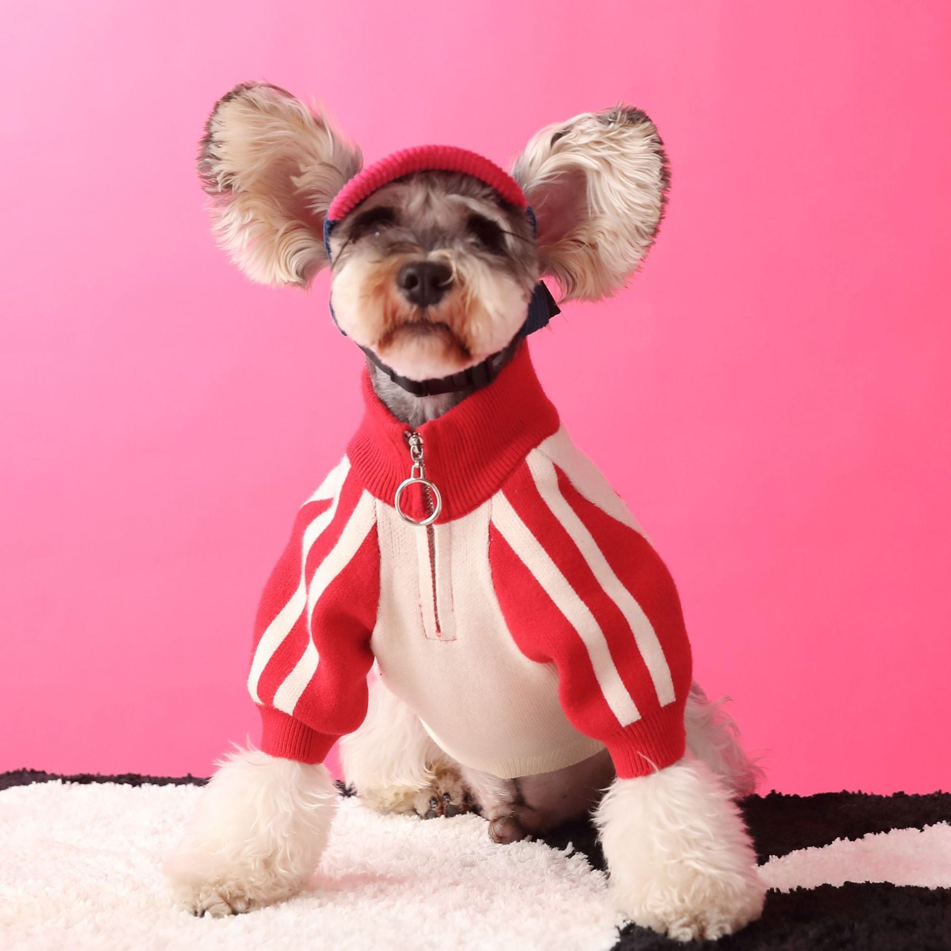 Puppy Sweater Cardigan Men's Pet Clothing