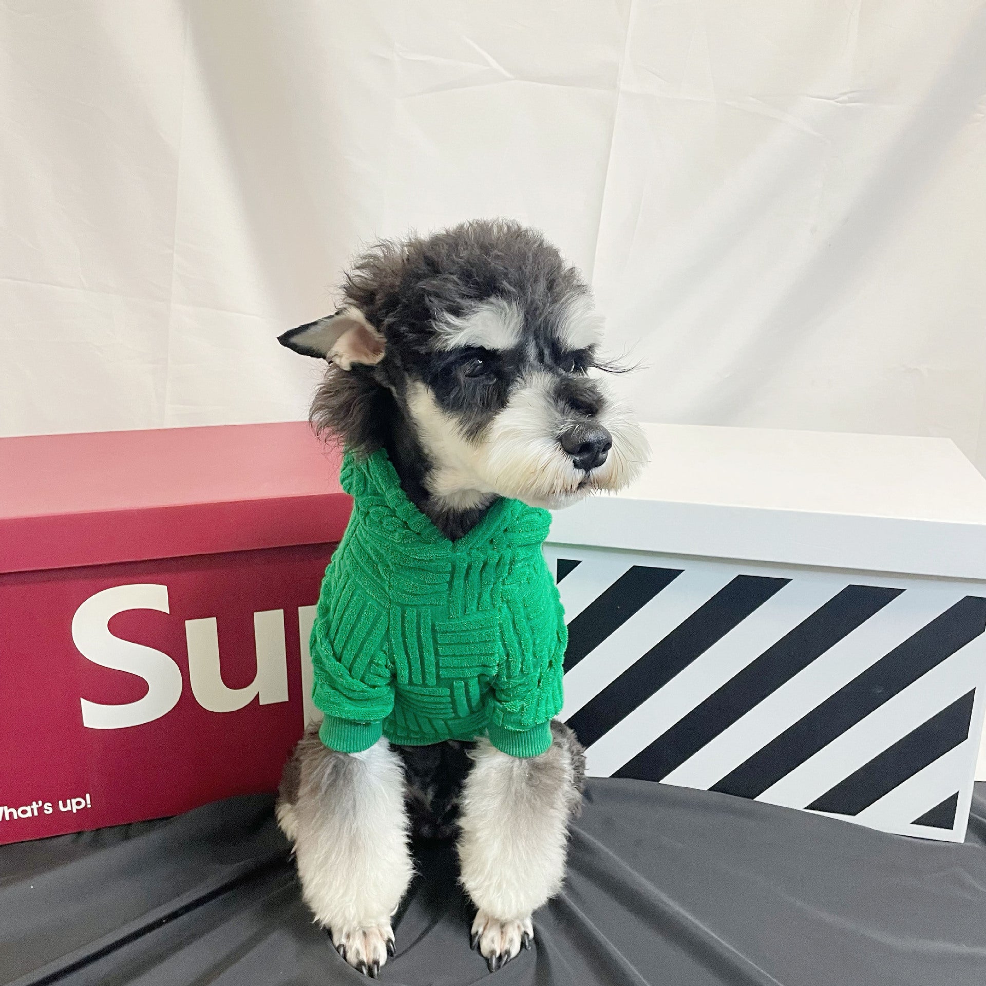 Pet Clothes Green Terry Sweater Hoddiee