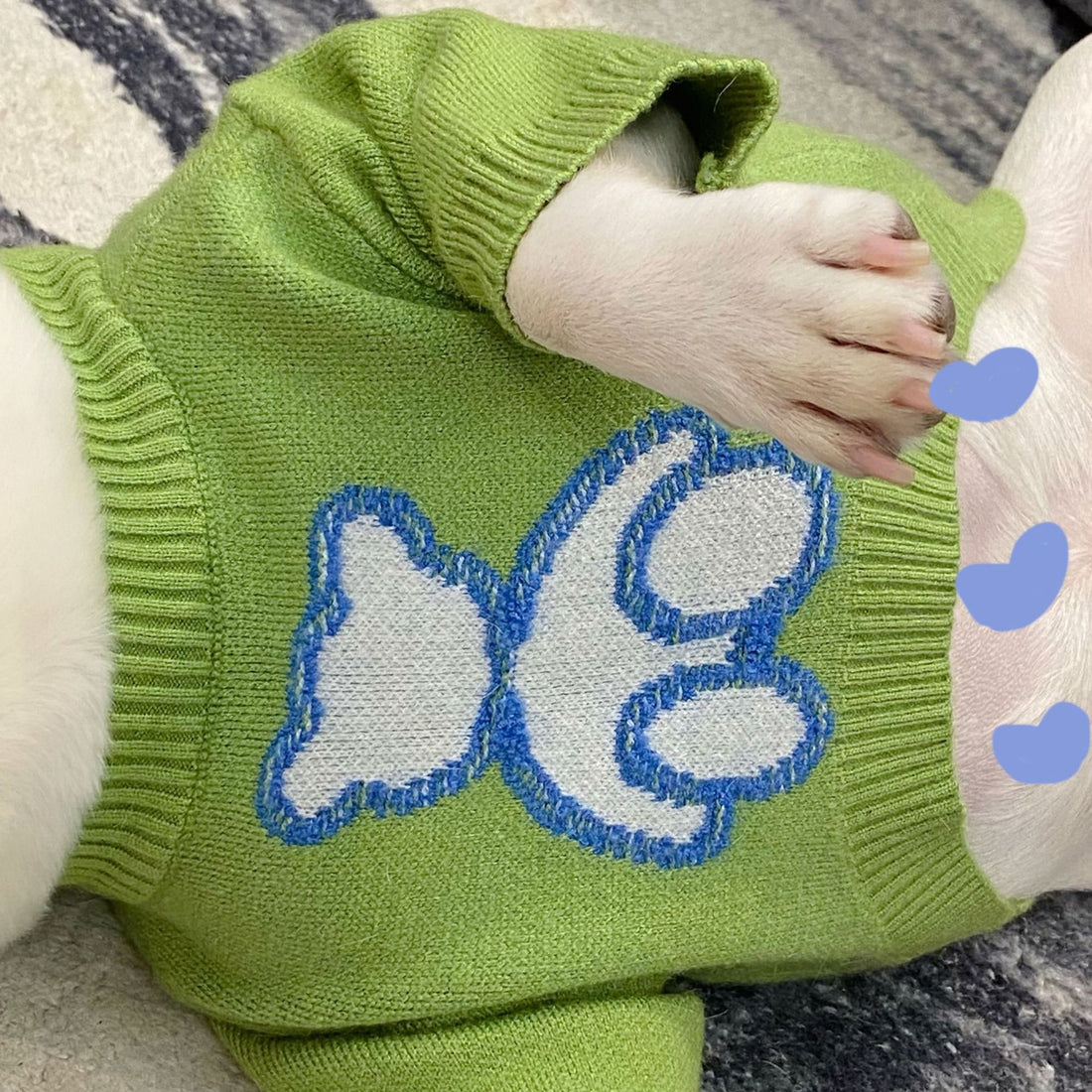 Pet Puppy Fall Winter Sweater