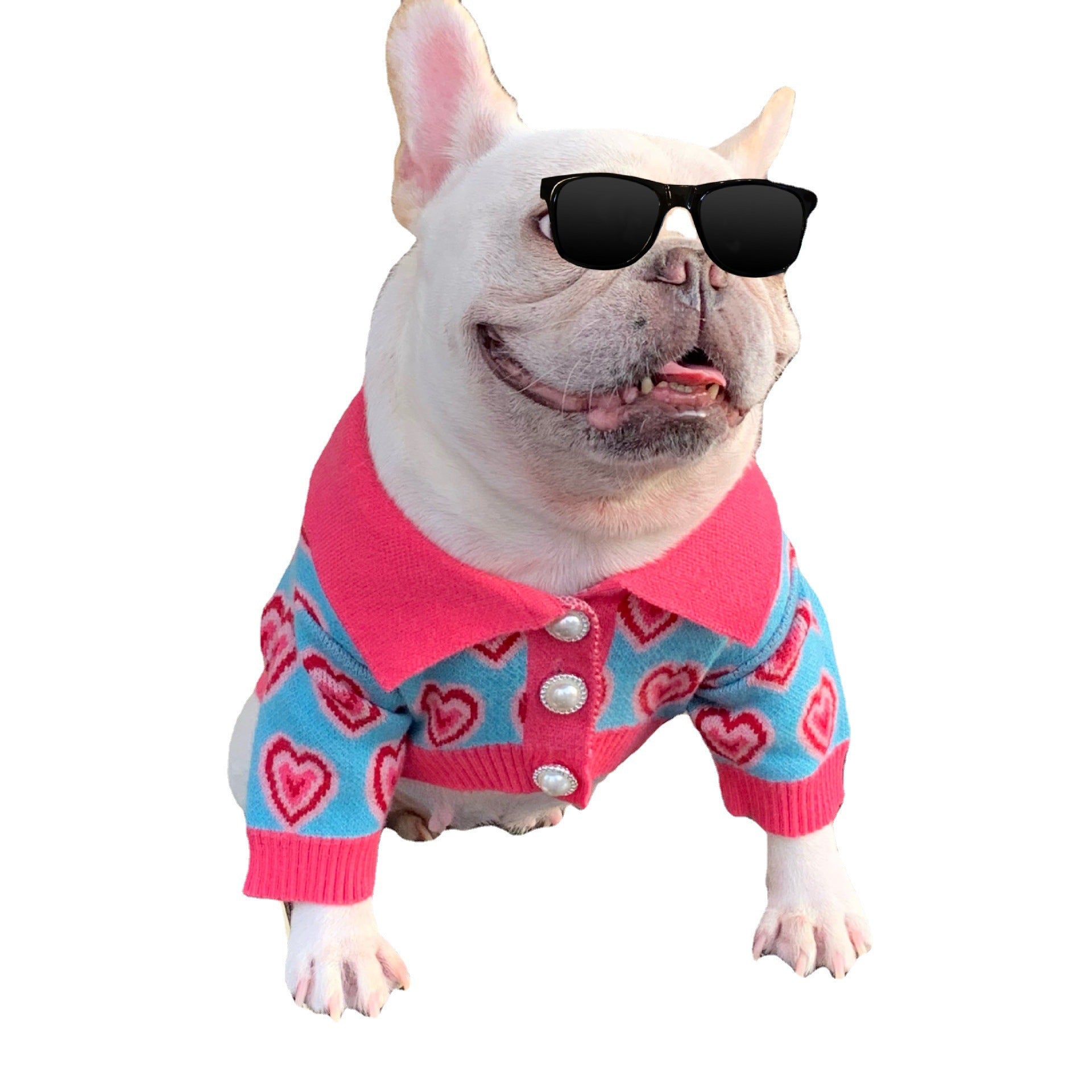 Pet Sweater Cat French Schnauzer