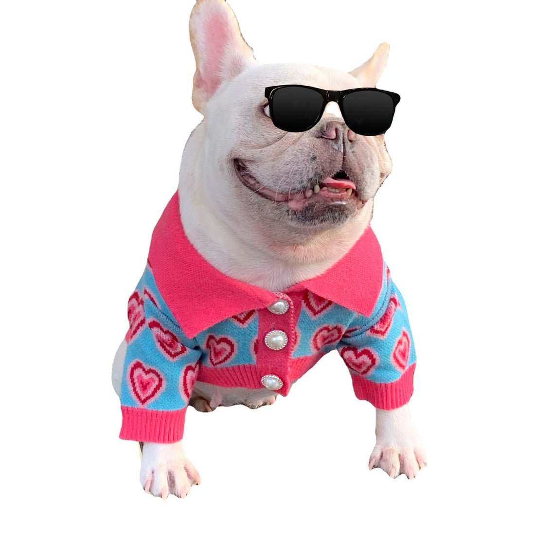 Pet Sweater Cat French Schnauzer