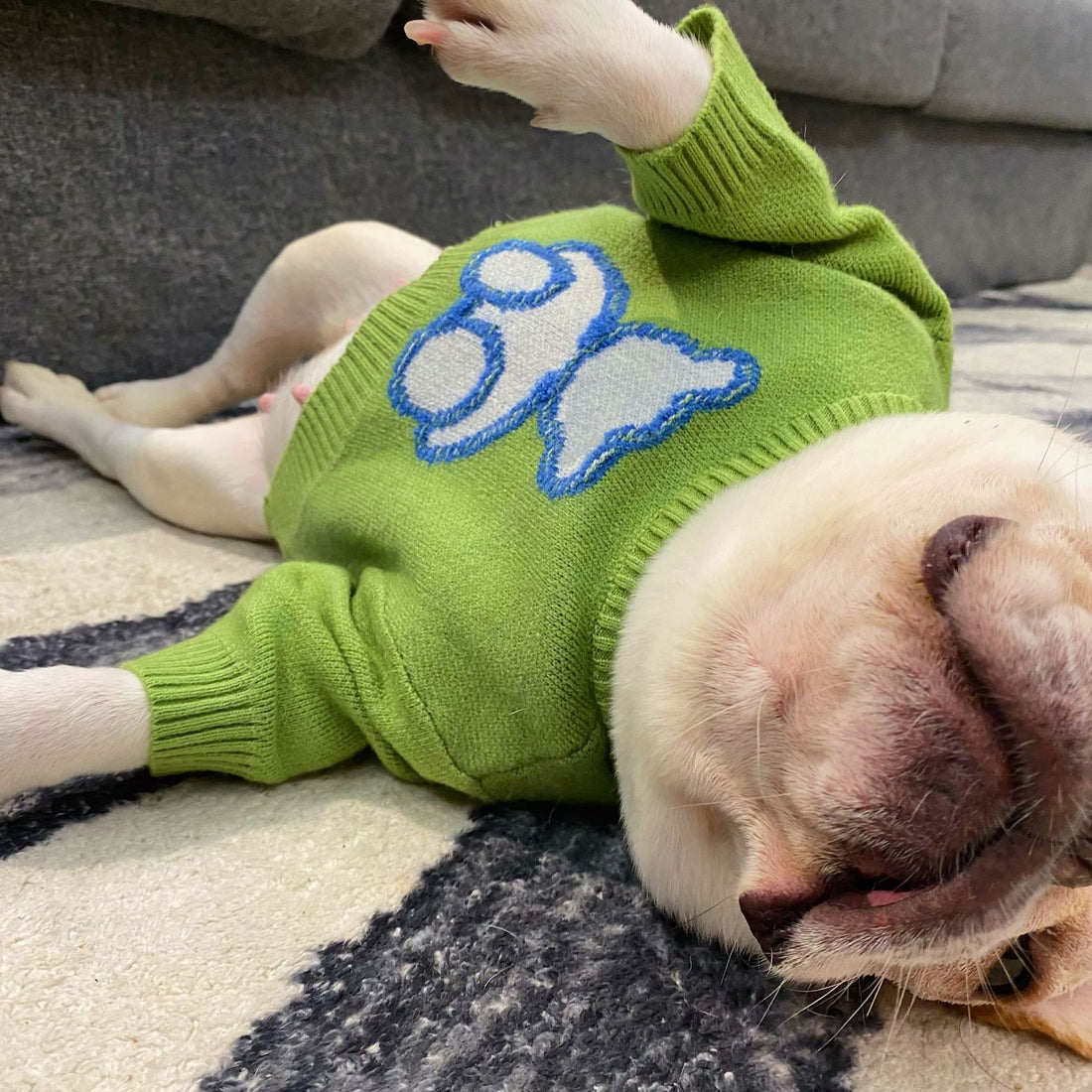 Pet Puppy Fall Winter Sweater